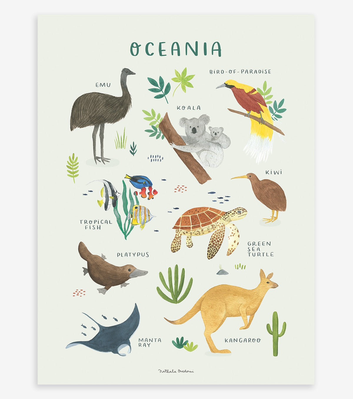 LIVING EARTH - Poster für Kinder - Tiere aus Ozeanien