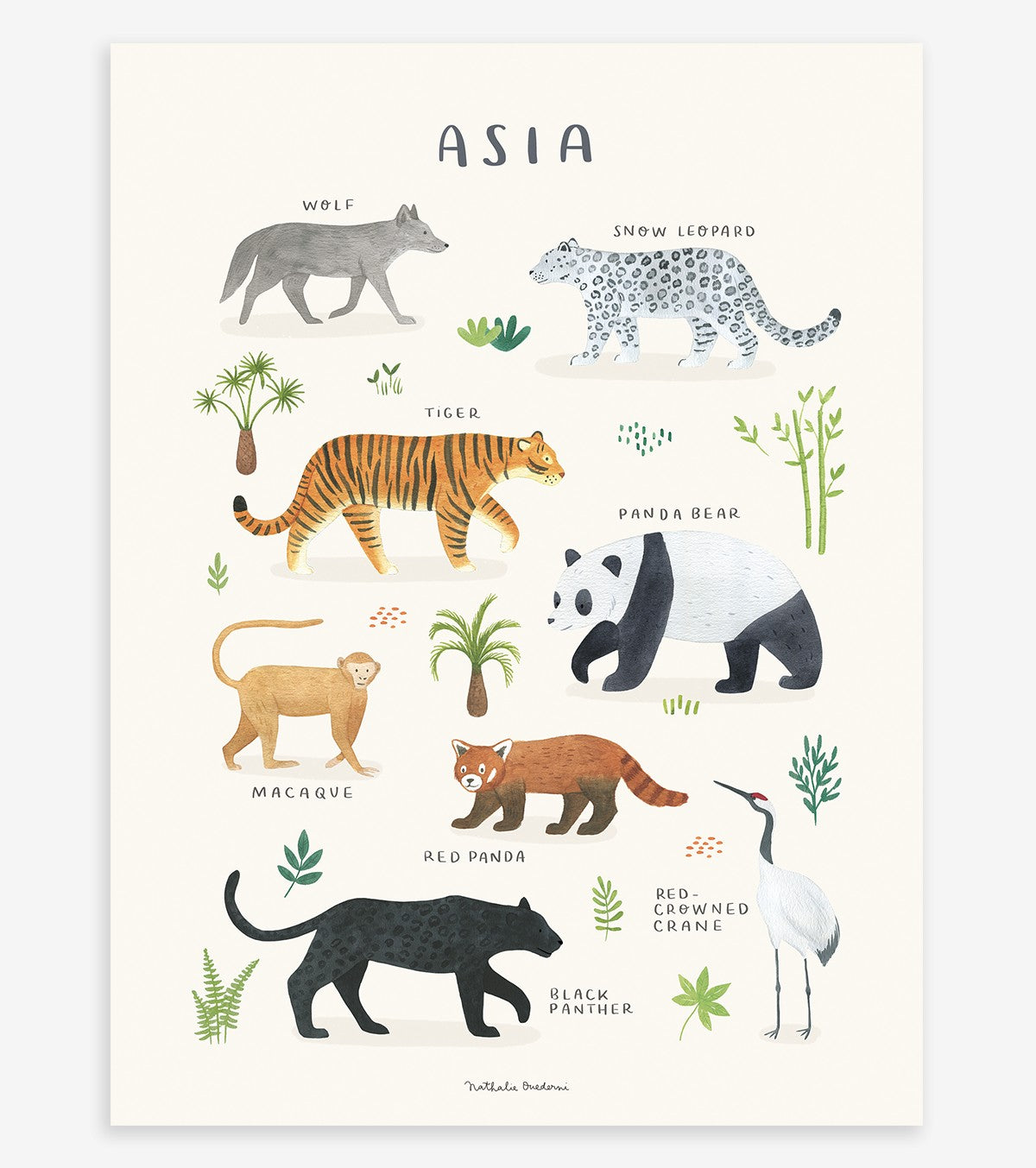 LIVING EARTH - Poster für Kinder - Asiatische Tiere