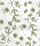 WELLINGTON - Kindertapete - Blumenmotiv Helleborus