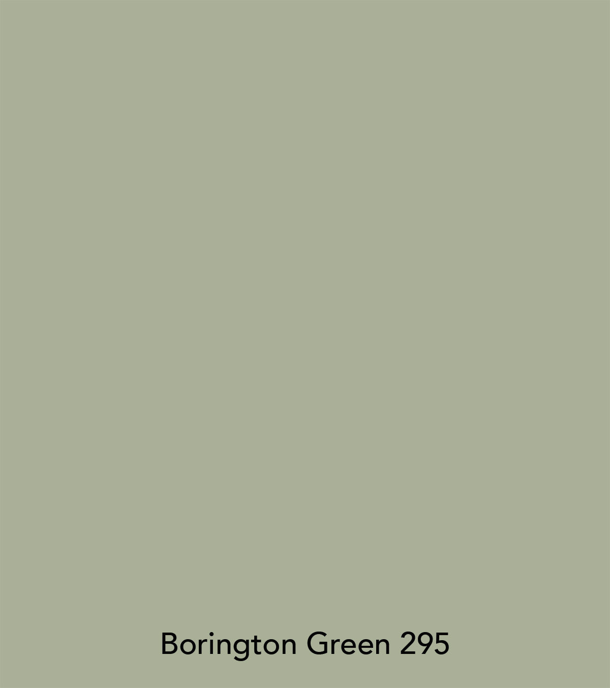 Little Greene Farbe - Borington green (295)