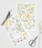 LUCKY DUCKY - Wandsticker Wandbilder - Blumen und Blätter