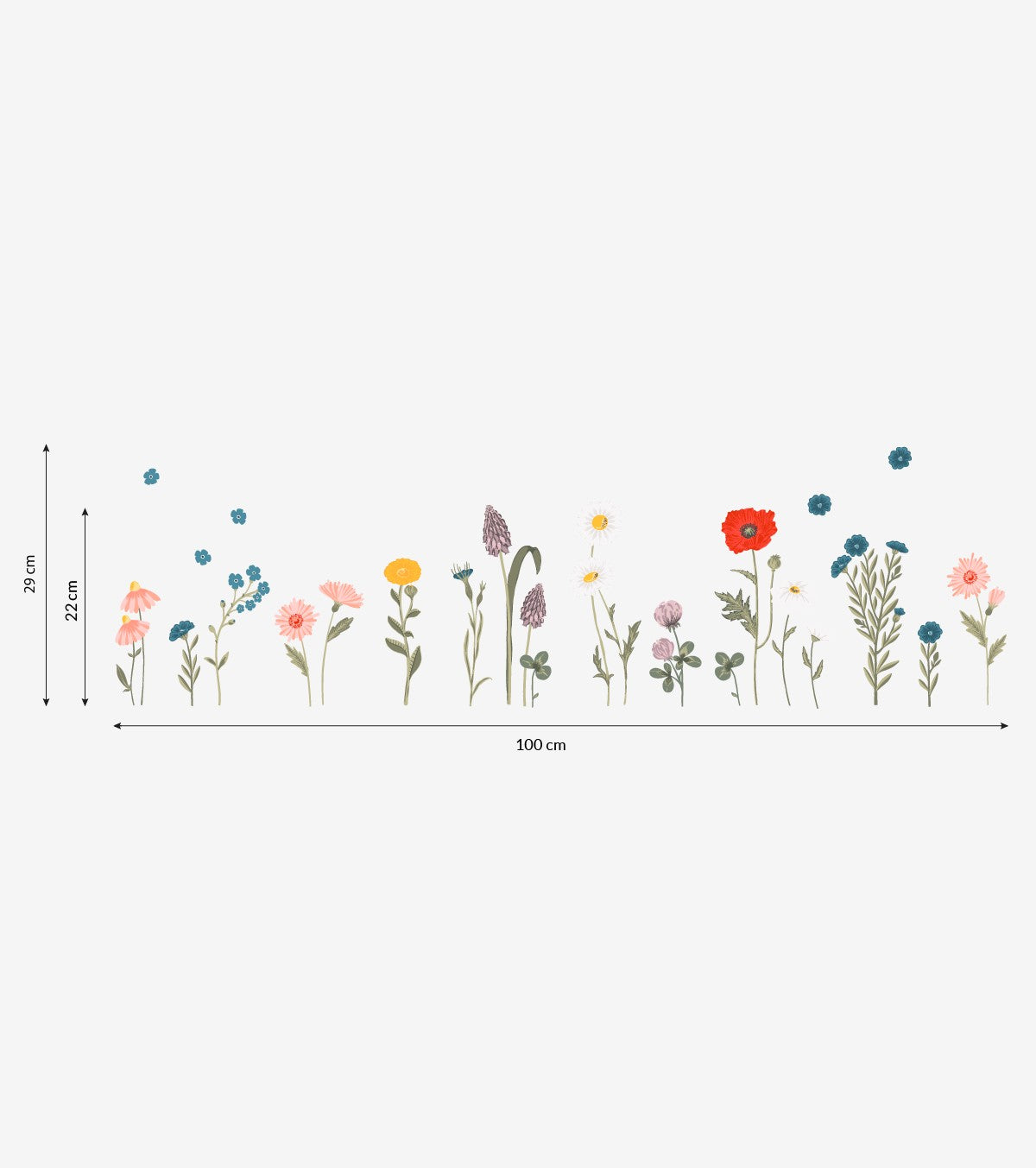 WILDFLOWERS - Wandsticker Wandbilder - Blumen: Kornblumen, Mohnblumen ...