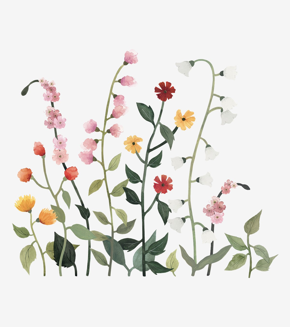 QUEYRAN - Große Wandsticker - Wildblumen