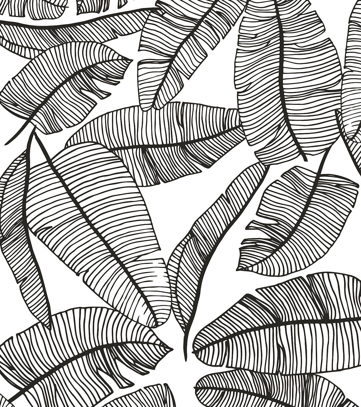 SERENGETI - Kindertapete - Motiv tropische Blätter