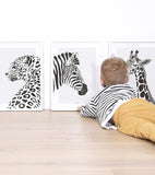 SERENGETI - Kinderposter - Das Zebra