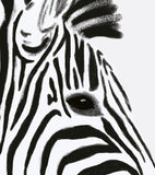 SERENGETI - Kinderposter - Das Zebra