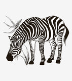 BLACK MAJIK - Großer Sticker - Das Zebra