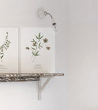 WELLINGTON - 2er-Set Posters Kind - Blumen, Botanik