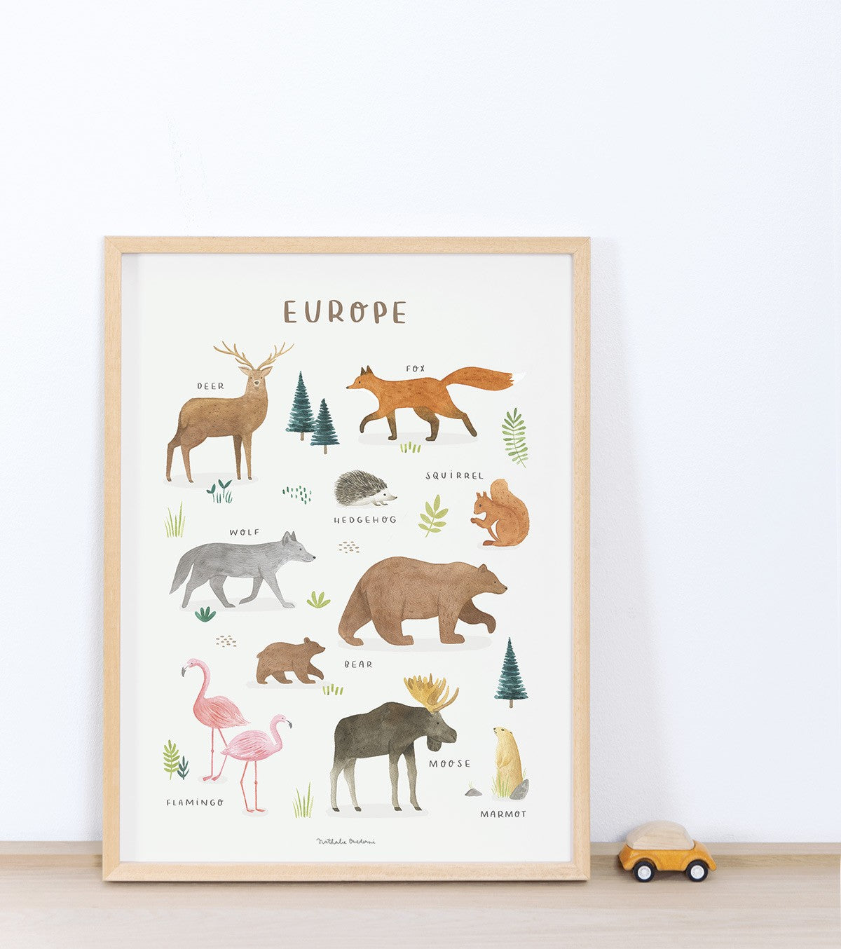 LIVING EARTH - Poster für Kinder - Tiere in Europa