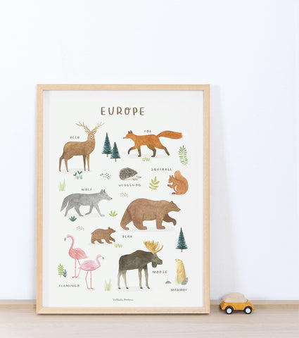 LIVING EARTH - Poster für Kinder - Tiere in Europa