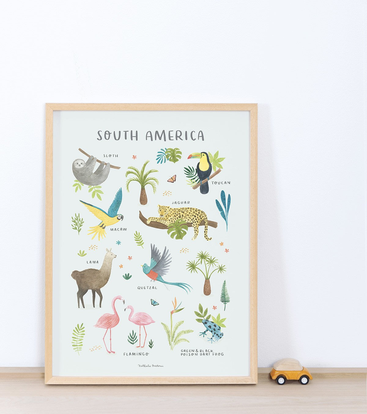 LIVING EARTH - Poster Kind - Tiere Südamerika