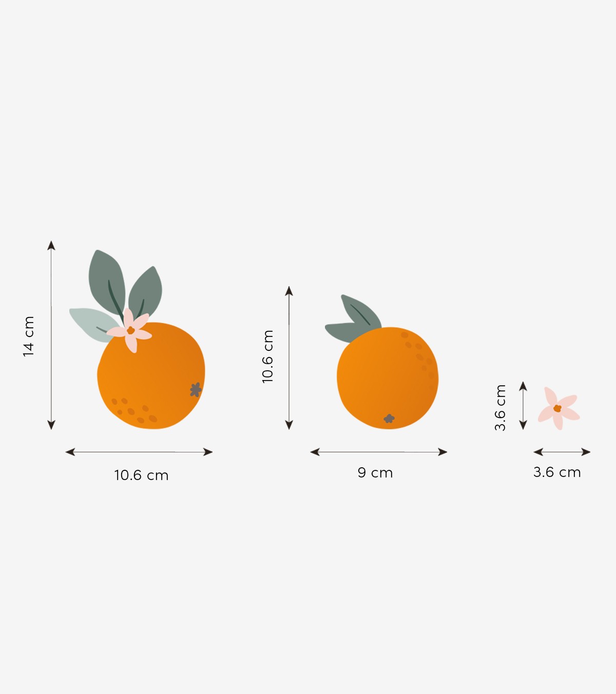 LOUISE - Wandsticker Wandbilder - Die Orangen