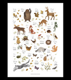 NORWOOD - Poster für Kinder - Waldtiere ABC
