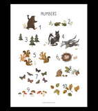 NORWOOD - Kinder Poster - Waldtiere Zahlen
