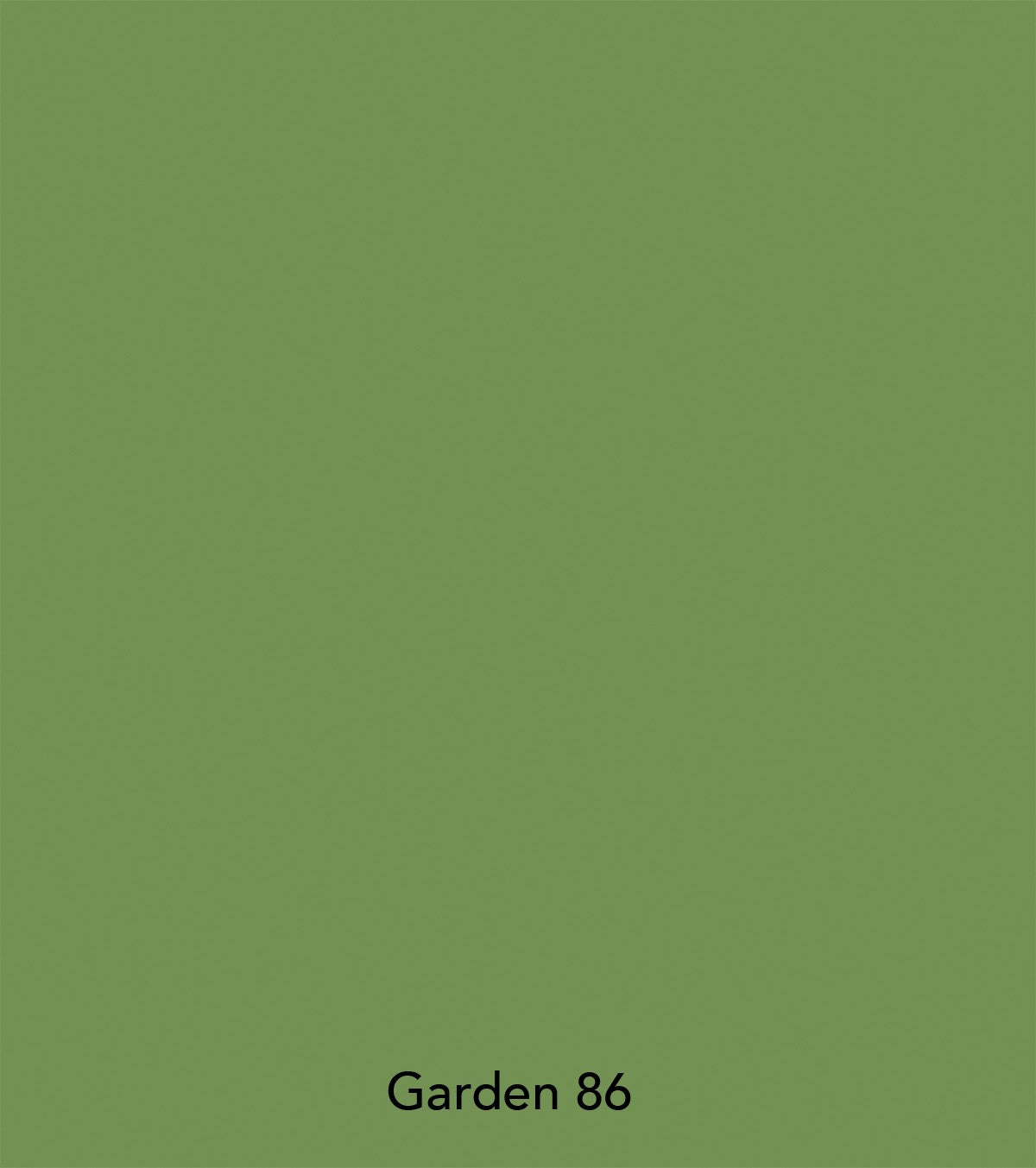 Little Greene Malerei - Garden (86)